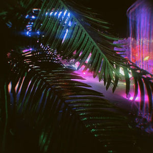 Meet your Posher, Isabella